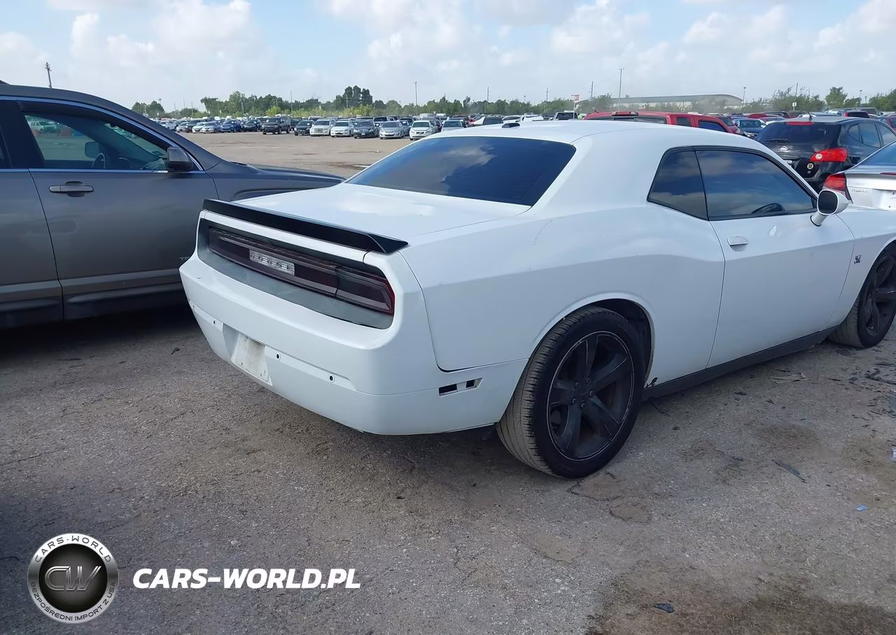 2014 Dodge Challenger R-T Plus VIN:2C3CDYBT3EH273965 - 4