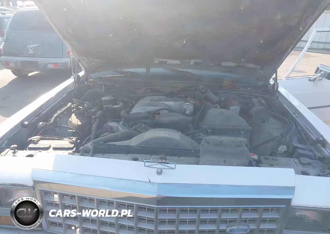 1987 Ford Crown Victoria VIN:2FABP73F3HX212326 - 10