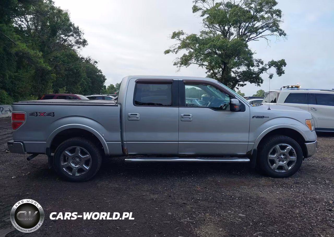 2010 Ford F-150 Fx4-Harley-Davidson-King Ranch-Lariat-Platinum-Xl-Xlt VIN:1FTFW1EV1AFD38735 - 13