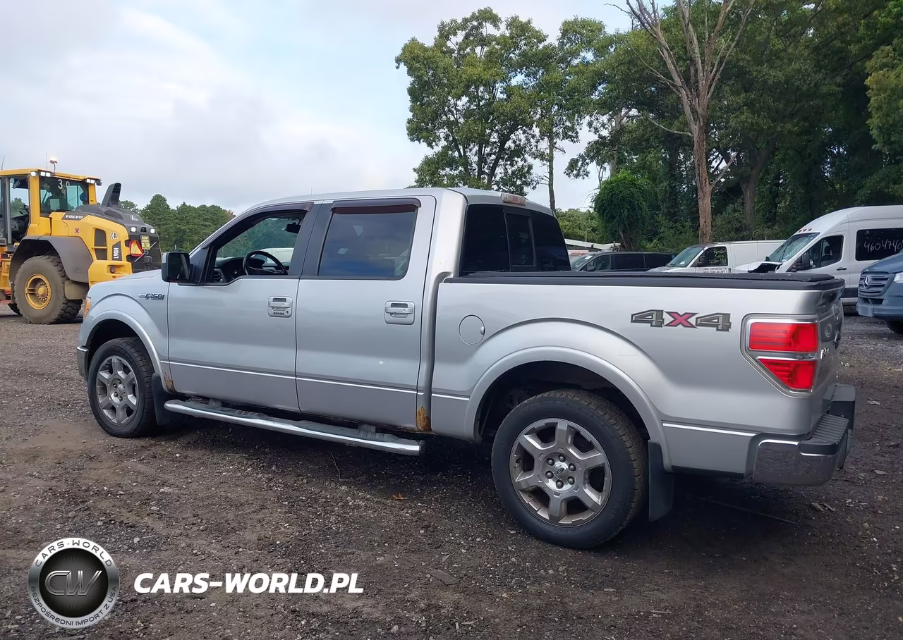 2010 Ford F-150 Fx4-Harley-Davidson-King Ranch-Lariat-Platinum-Xl-Xlt VIN:1FTFW1EV1AFD38735 - 14