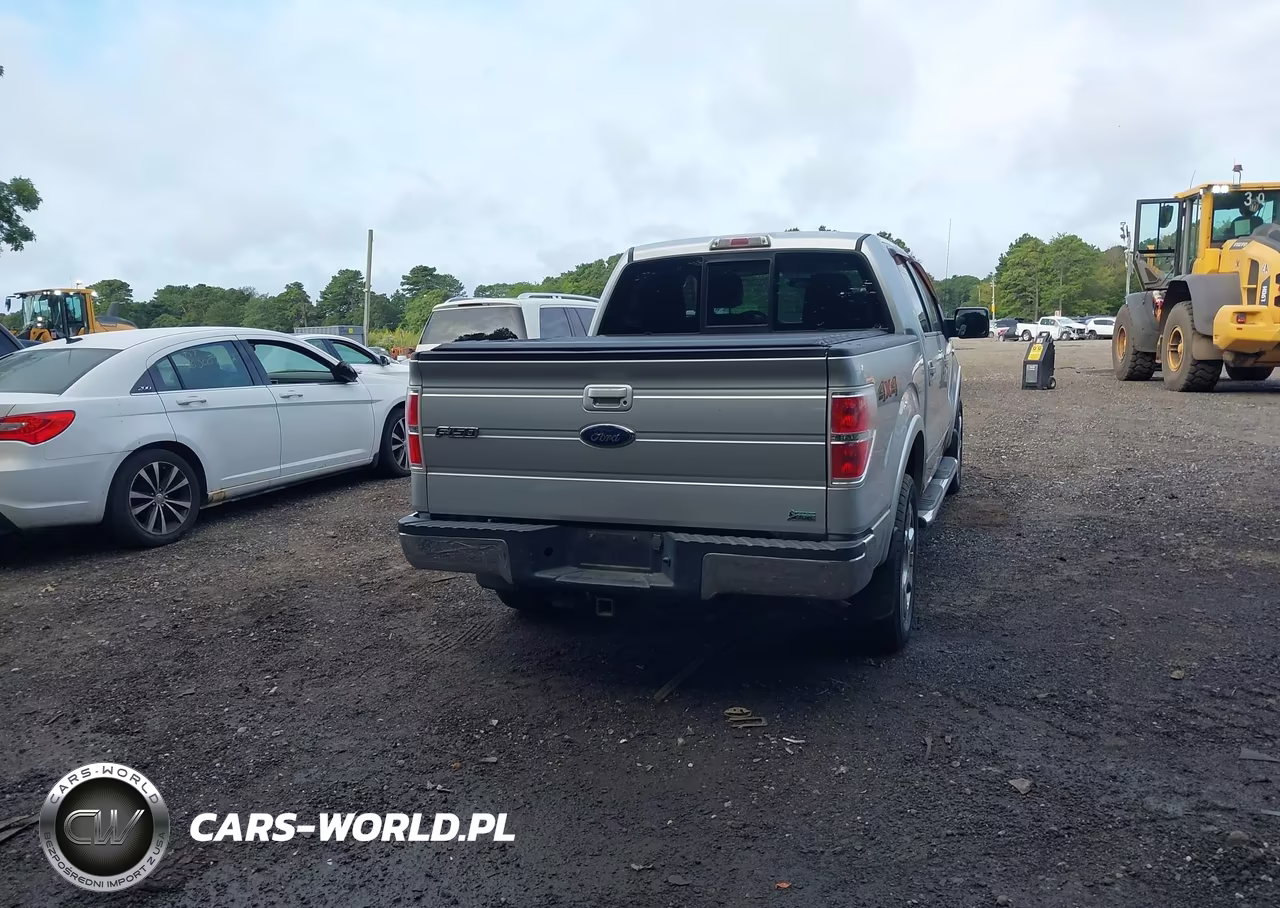 2010 Ford F-150 Fx4-Harley-Davidson-King Ranch-Lariat-Platinum-Xl-Xlt VIN:1FTFW1EV1AFD38735 - 16
