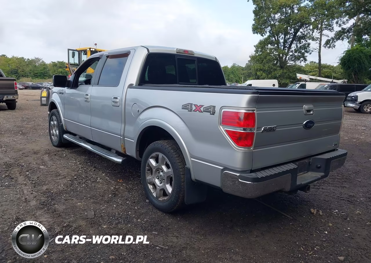 2010 Ford F-150 Fx4-Harley-Davidson-King Ranch-Lariat-Platinum-Xl-Xlt VIN:1FTFW1EV1AFD38735 - 3