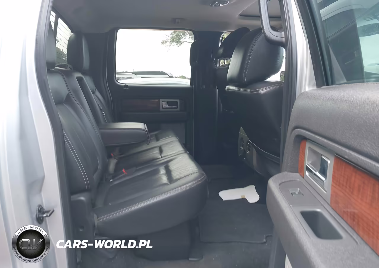 2010 Ford F-150 Fx4-Harley-Davidson-King Ranch-Lariat-Platinum-Xl-Xlt VIN:1FTFW1EV1AFD38735 - 8