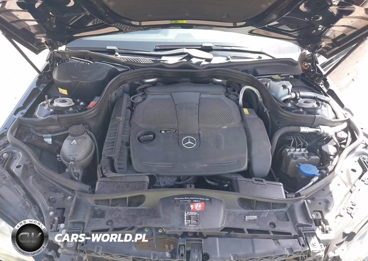 2014 Mercedes-Benz E 350 4Matic VIN:WDDHF8JB2EB066101 - 10