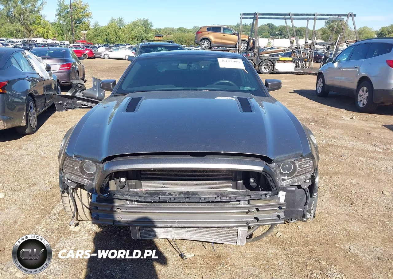 2013 Ford Mustang Gt Premium VIN:1ZVBP8CF3D5267819 - 12
