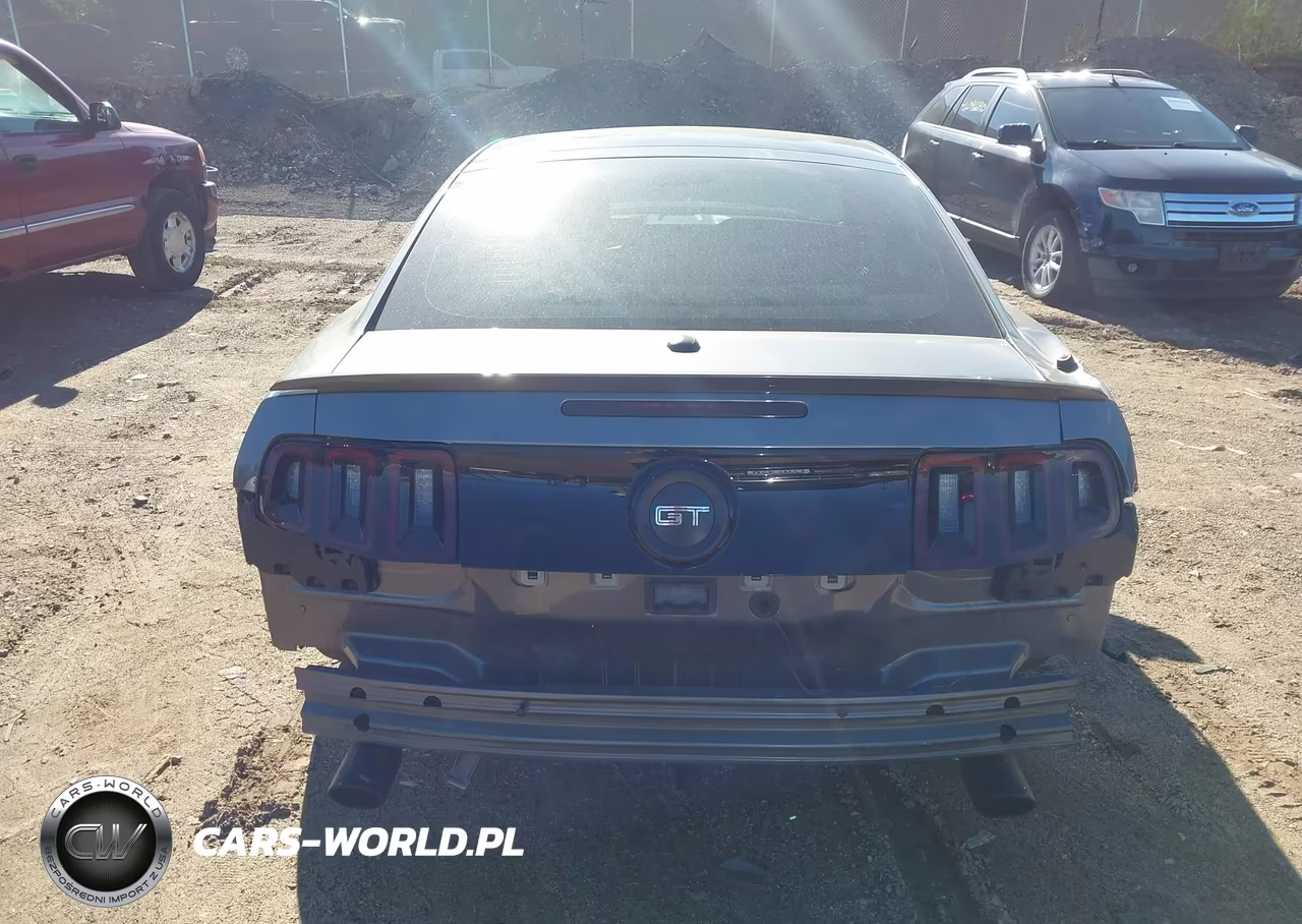 2013 Ford Mustang Gt Premium VIN:1ZVBP8CF3D5267819 - 16