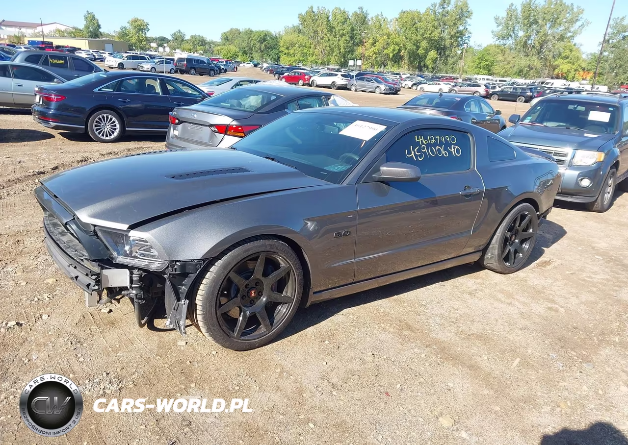 2013 Ford Mustang Gt Premium VIN:1ZVBP8CF3D5267819 - 2