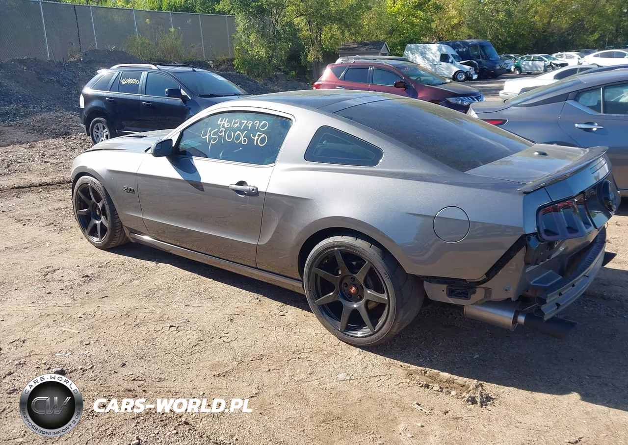 2013 Ford Mustang Gt Premium VIN:1ZVBP8CF3D5267819 - 3