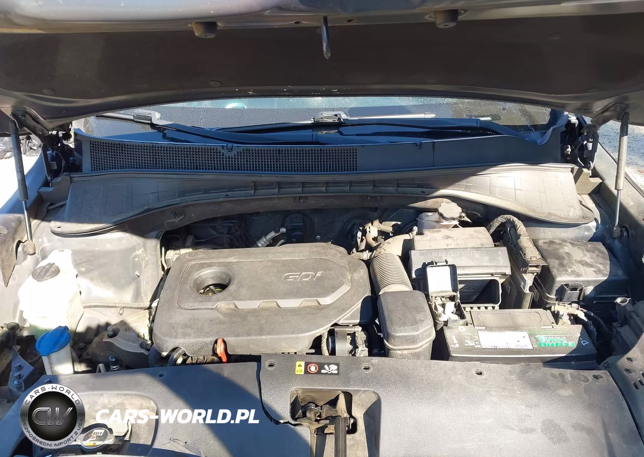 2019 Kia Sorento 2.4L Lx VIN:5XYPG4A31KG603997 - 10