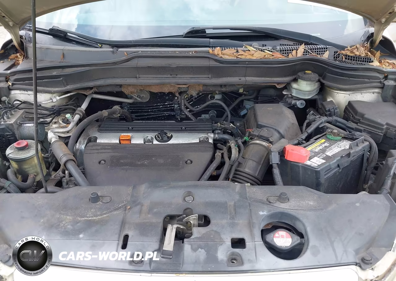 2009 Honda Cr-V Ex-L VIN:5J6RE387X9L014425 - 10