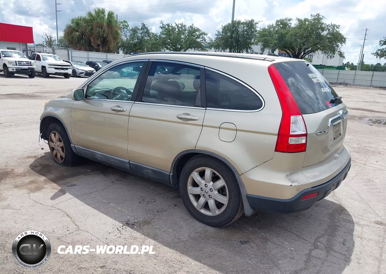 2009 Honda Cr-V Ex-L VIN:5J6RE387X9L014425 - 3