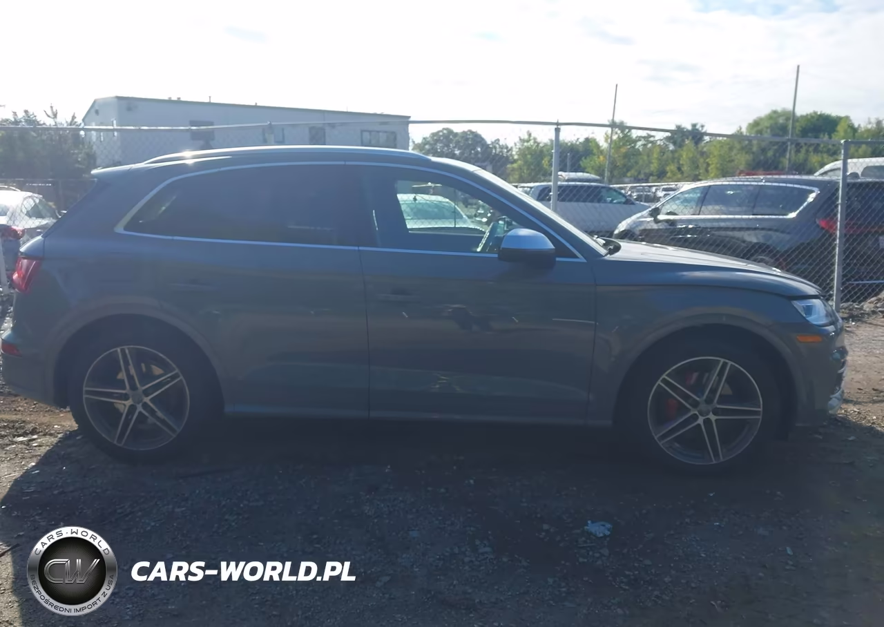 2019 Audi Sq5 3.0T Premium VIN:WA1C4AFY0K2002837 - 13
