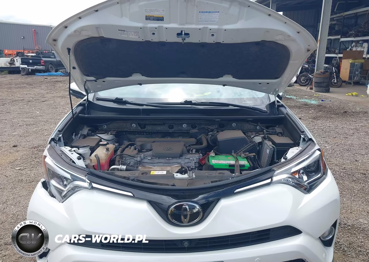2018 Toyota Rav4 Limited-Platinum VIN:JTMYFREV9JJ152994 - 10