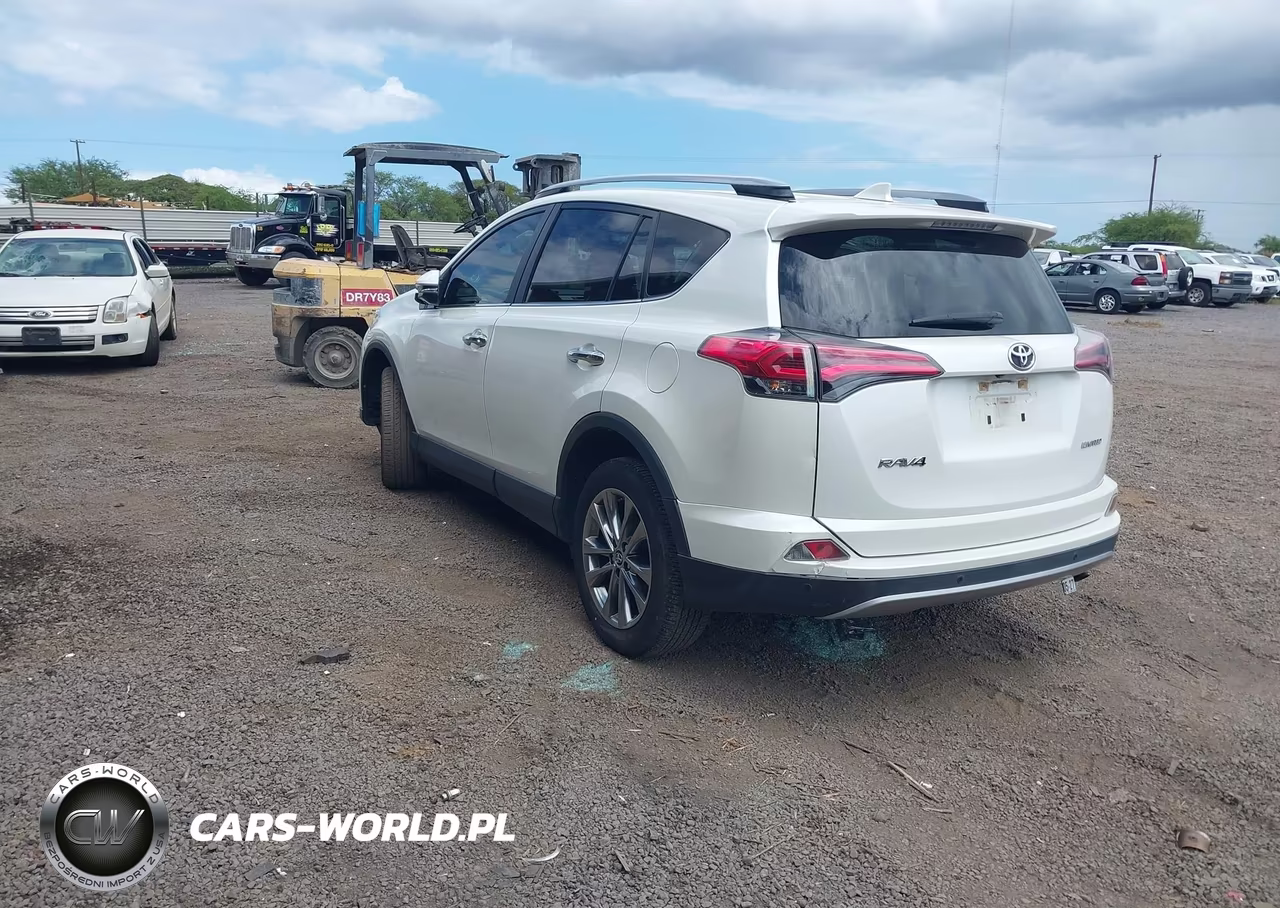 2018 Toyota Rav4 Limited-Platinum VIN:JTMYFREV9JJ152994 - 3