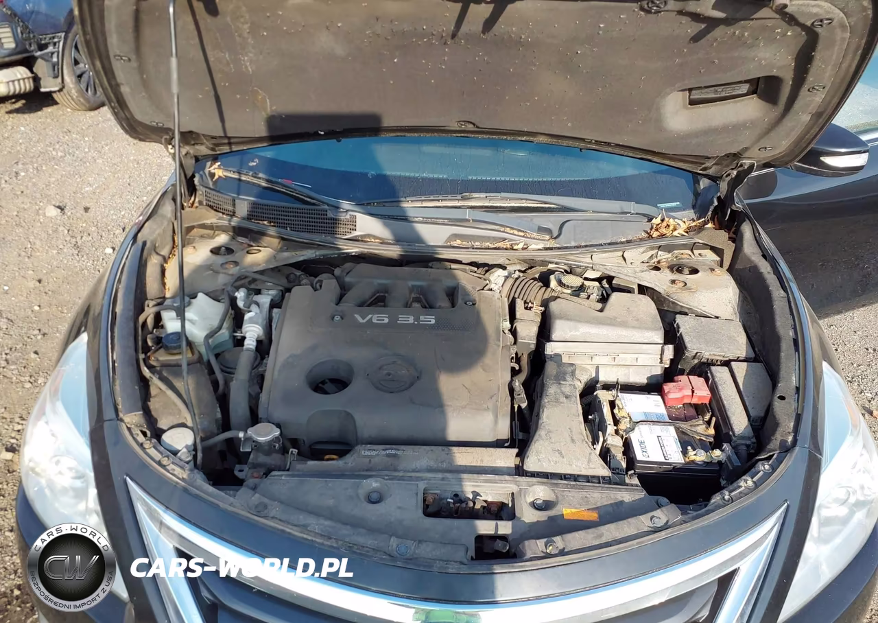 2014 Nissan Altima 3.5 Sl VIN:1N4BL3APXEC179012 - 10