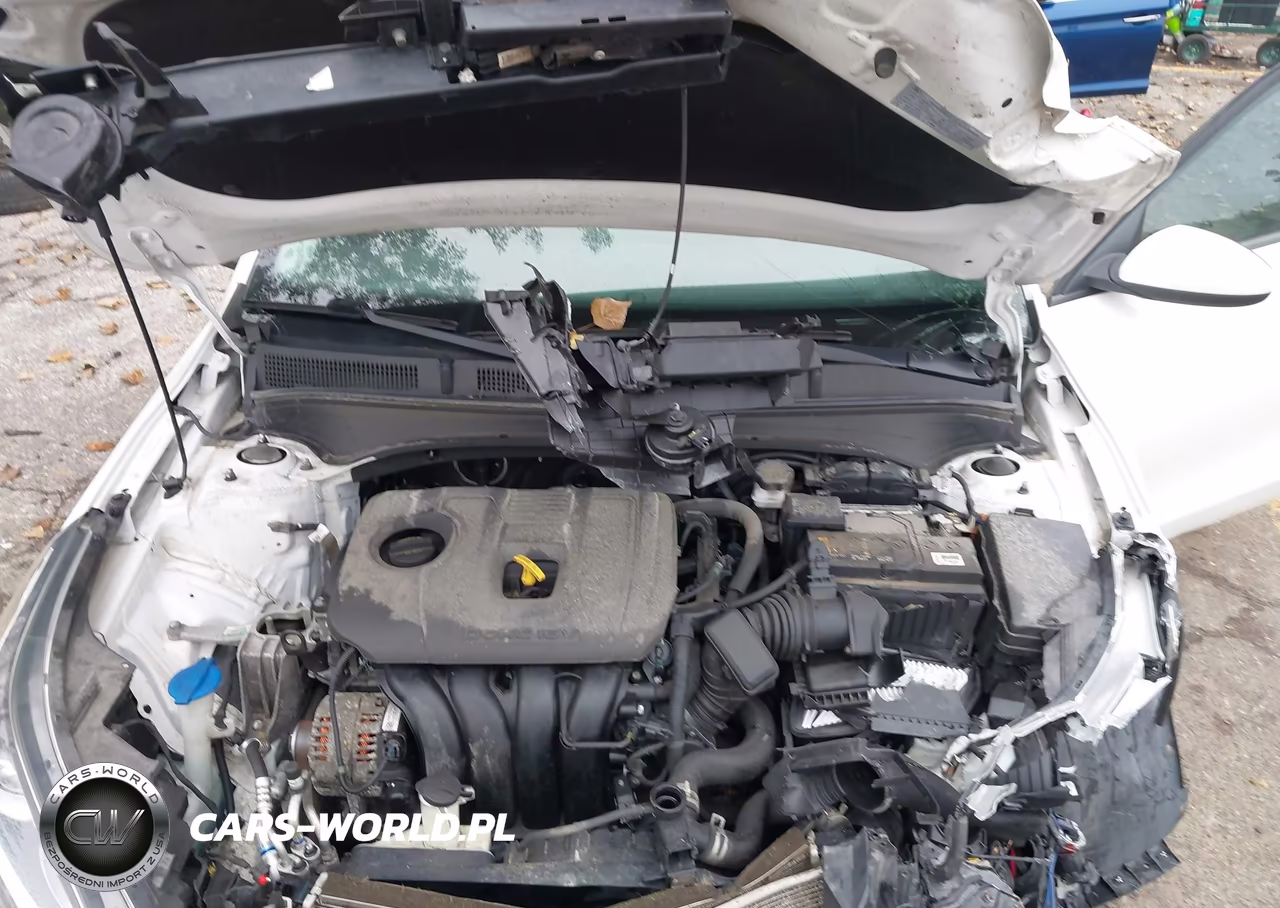 2021 Kia Forte Fe VIN:3KPF24AD0ME345152 - 10