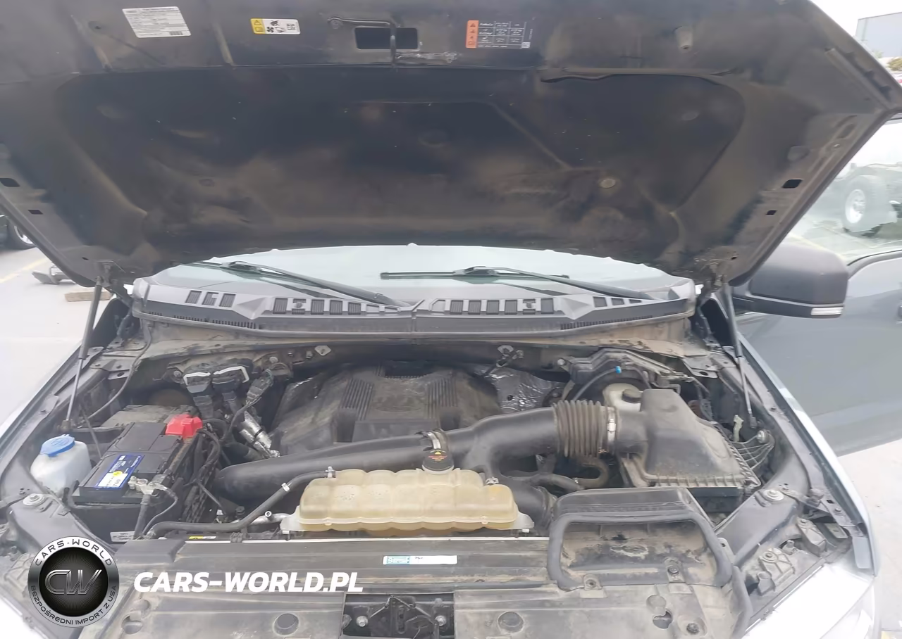 2019 Ford F-150 Xlt VIN:1FTFW1E42KKE65557 - 10