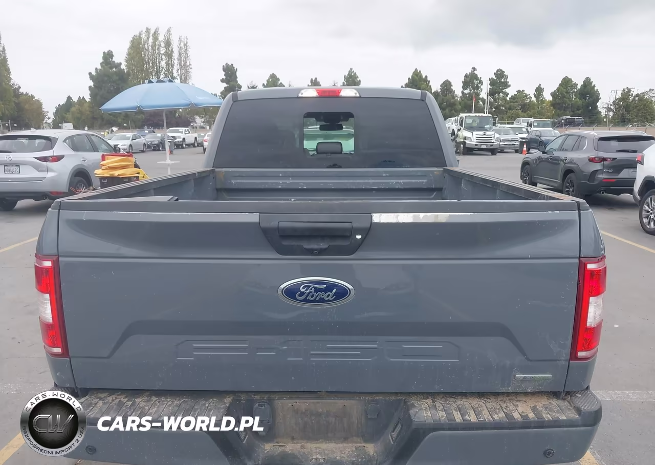 2019 Ford F-150 Xlt VIN:1FTFW1E42KKE65557 - 17