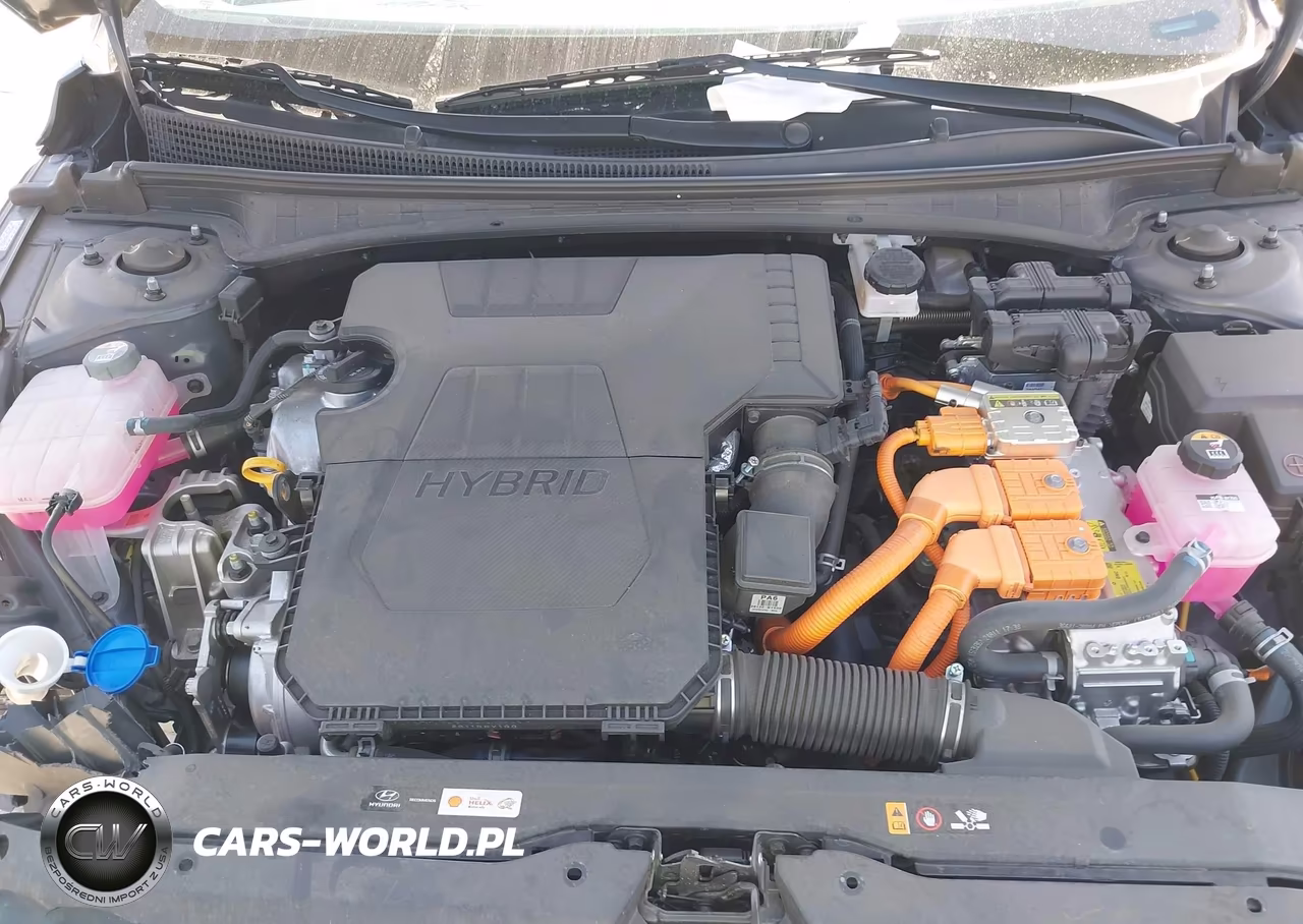 2024 Hyundai Elantra Hybrid Blue VIN:KMHLM4DJ6RU109527 - 10