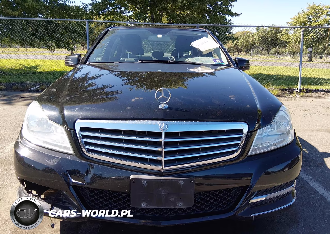 2013 Mercedes-Benz C 300 Luxury 4Matic VIN:WDDGF8AB4DF969787 - 12