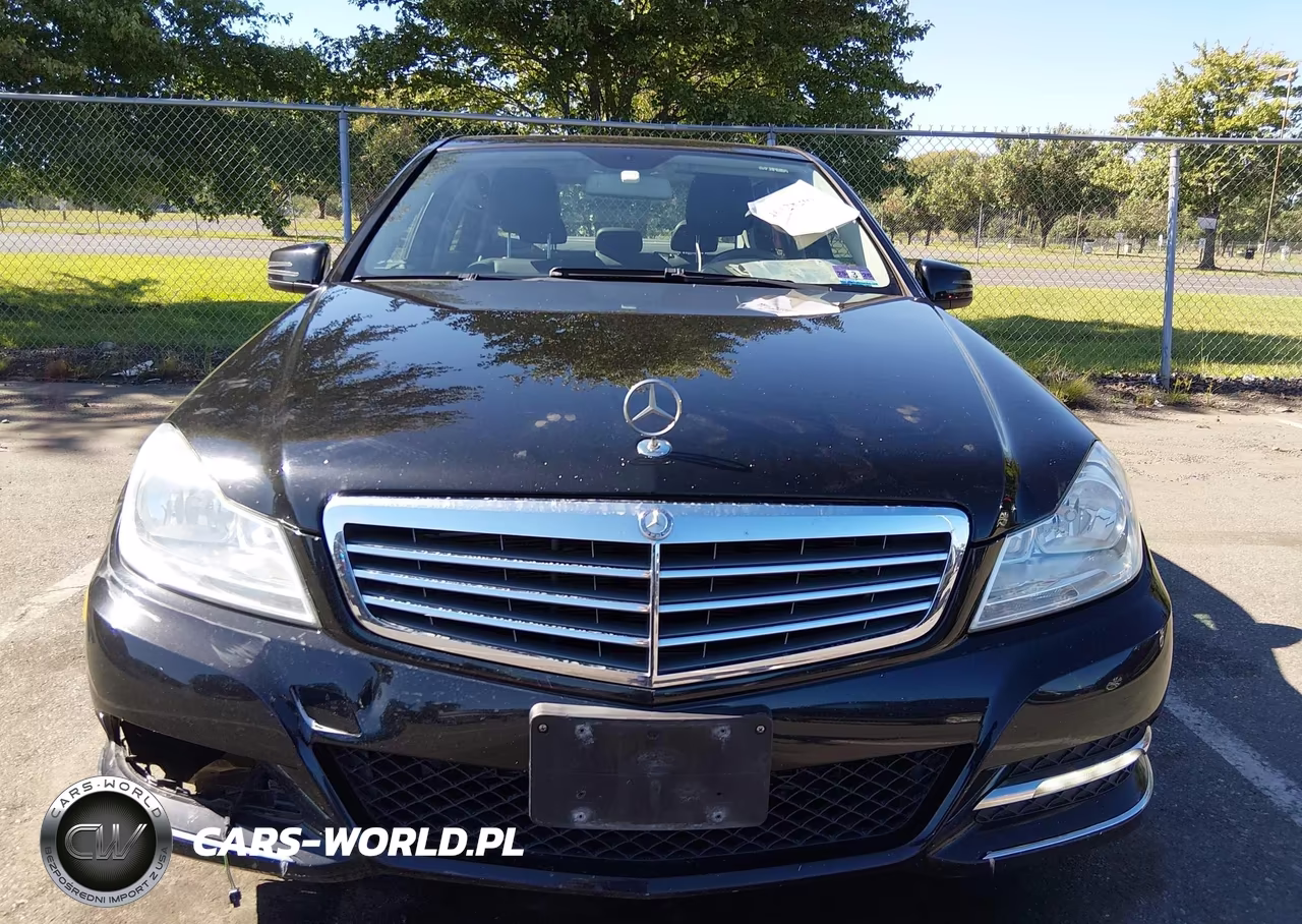 2013 Mercedes-Benz C 300 Luxury 4Matic VIN:WDDGF8AB4DF969787 - 6
