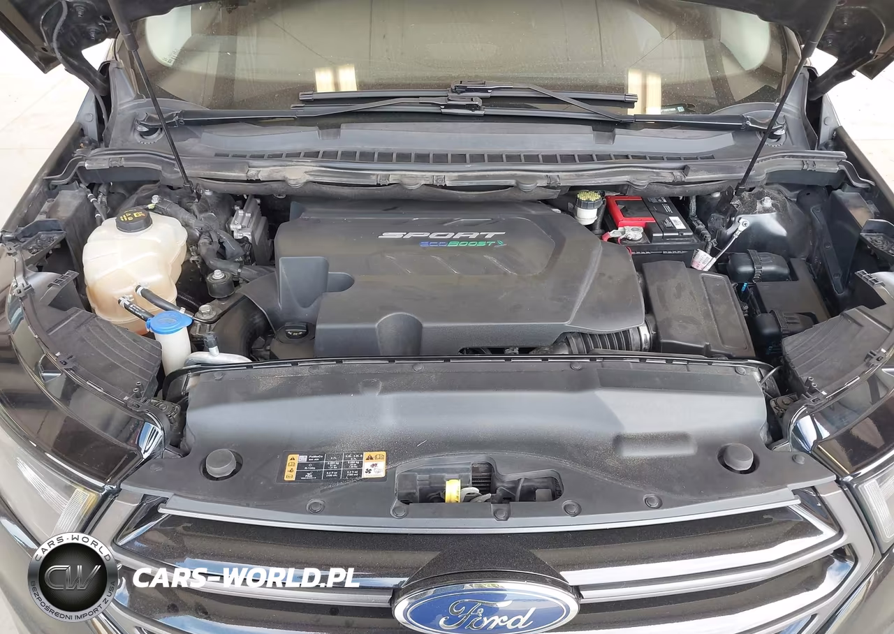 2017 Ford Edge Sport VIN:2FMPK4AP1HBB79909 - 10