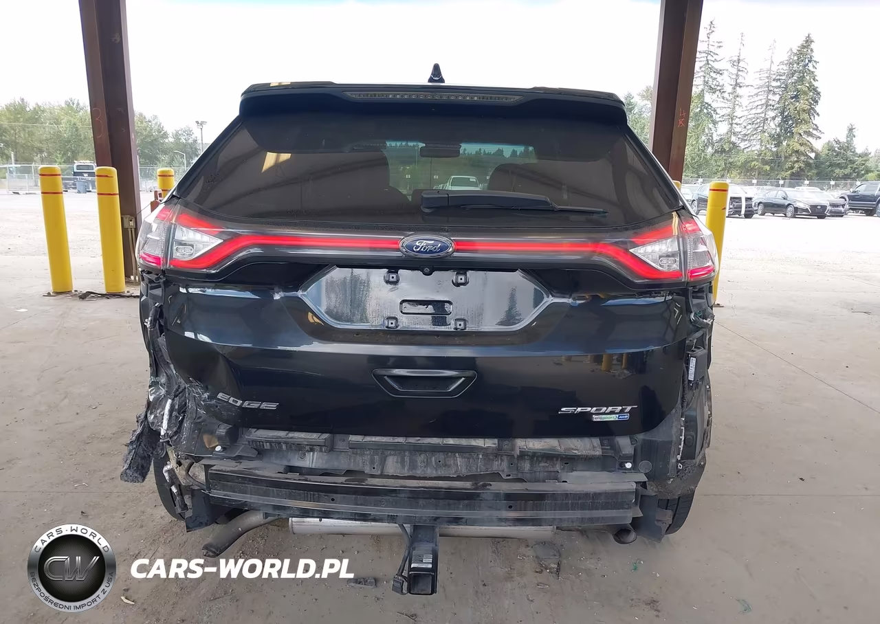 2017 Ford Edge Sport VIN:2FMPK4AP1HBB79909 - 17