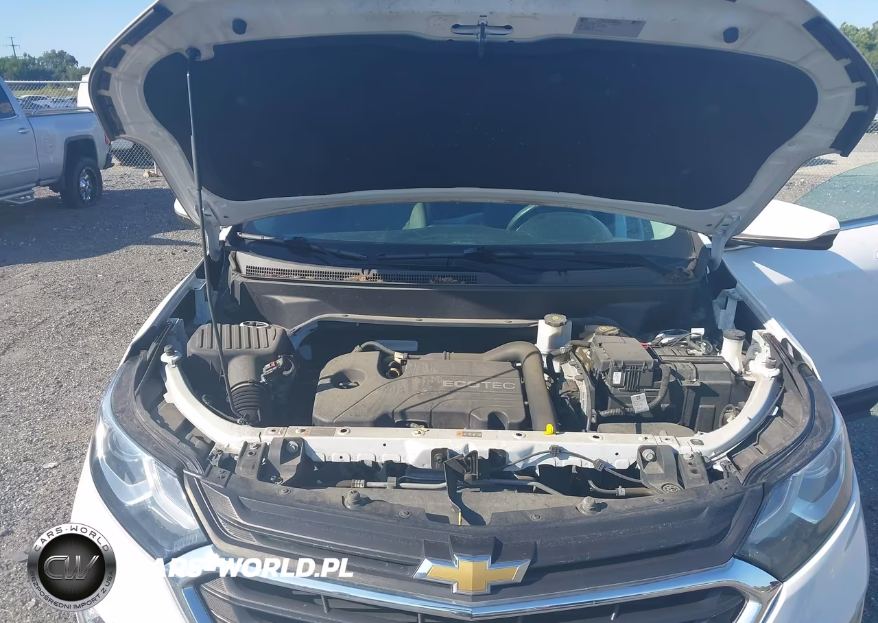 2018 Chevrolet Equinox Lt VIN:3GNAXSEV0JS590654 - 10