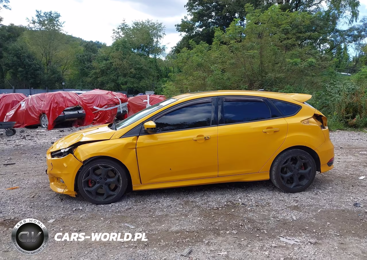 2016 Ford Focus St VIN:1FADP3L90GL224974 - 14