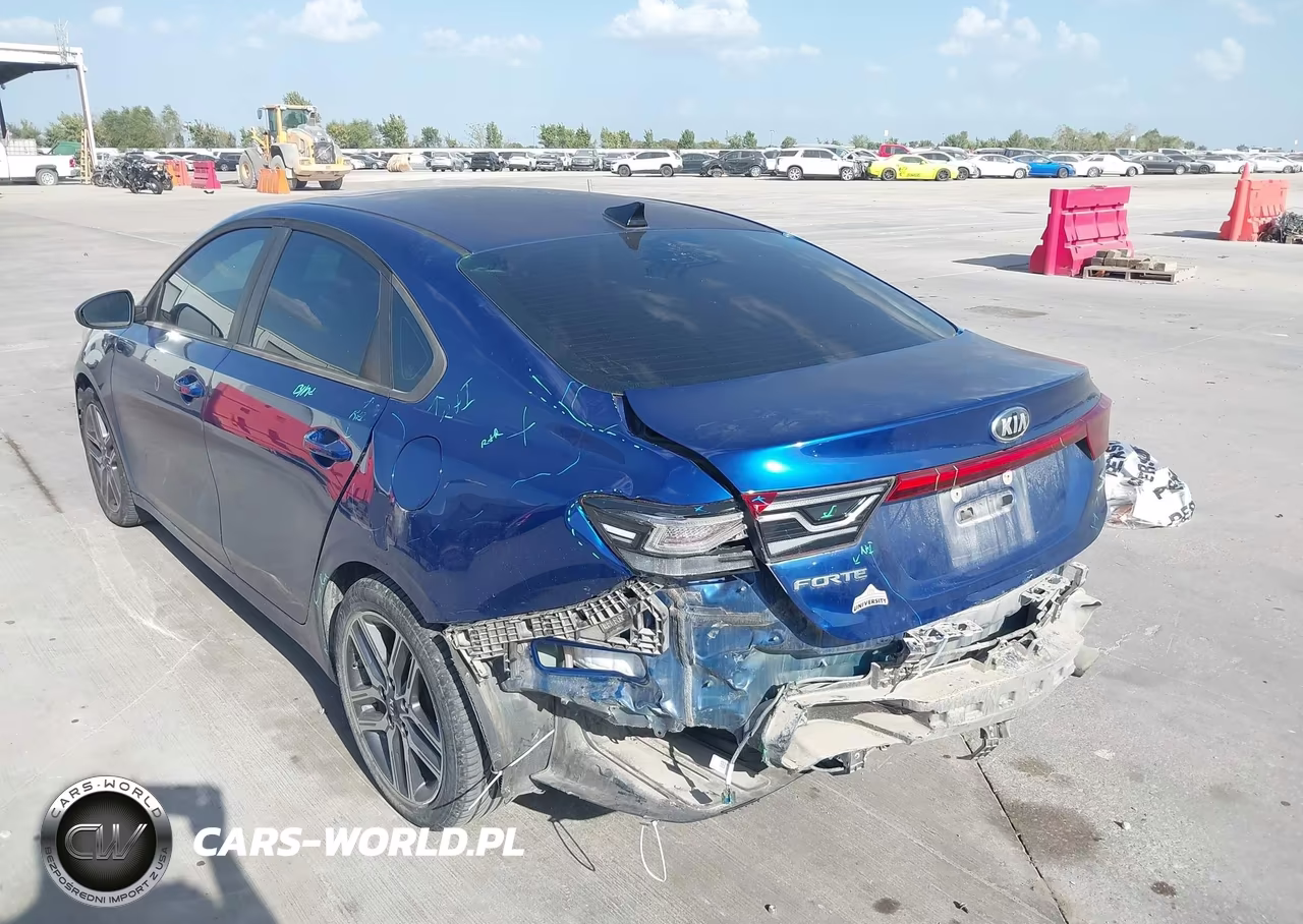 2019 Kia Forte S VIN:3KPF34AD0KE045718 - 3