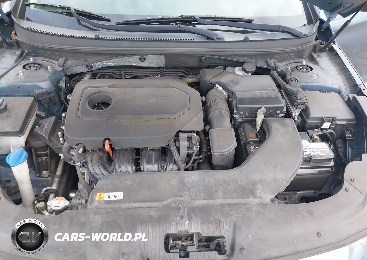 2016 Hyundai Sonata Sport VIN:5NPE34AF3GH311183 - 10