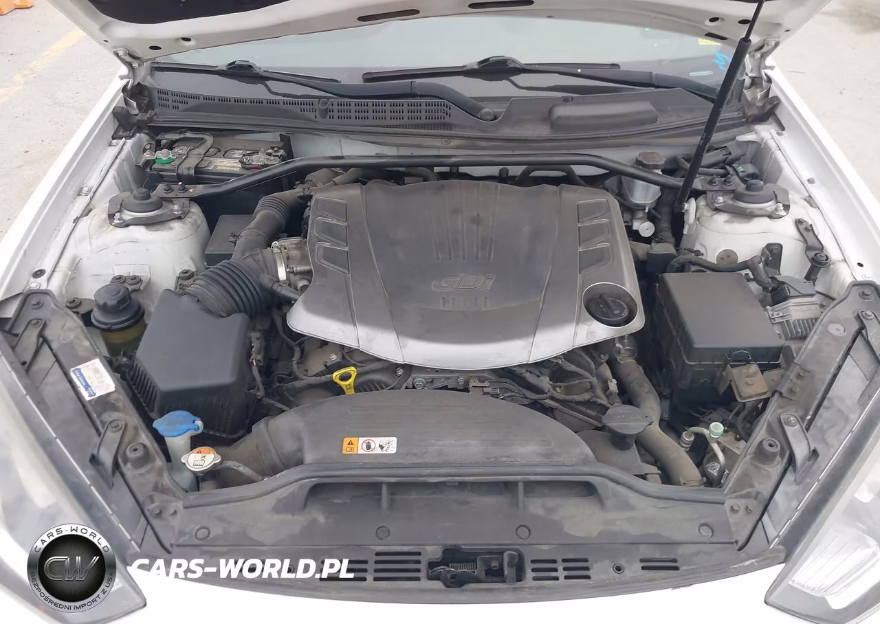 2013 Hyundai Genesis 3.8 Track VIN:KMHHU6KJ4DU093647 - 10