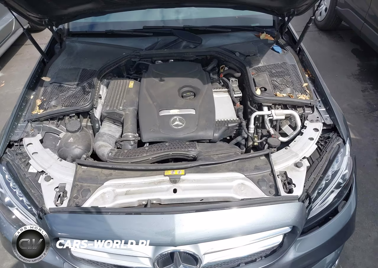 2018 Mercedes-Benz C 300 VIN:55SWF4JB8JU241256 - 10