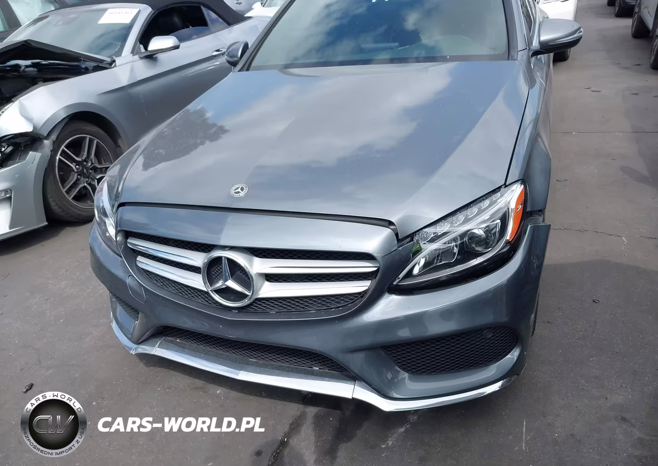 2018 Mercedes-Benz C 300 VIN:55SWF4JB8JU241256 - 13
