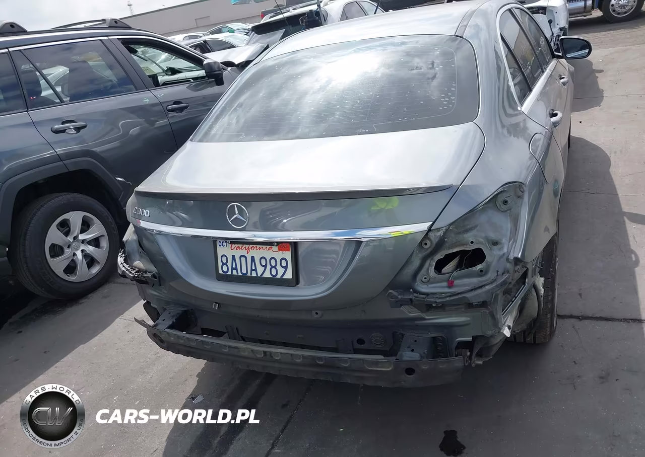 2018 Mercedes-Benz C 300 VIN:55SWF4JB8JU241256 - 17