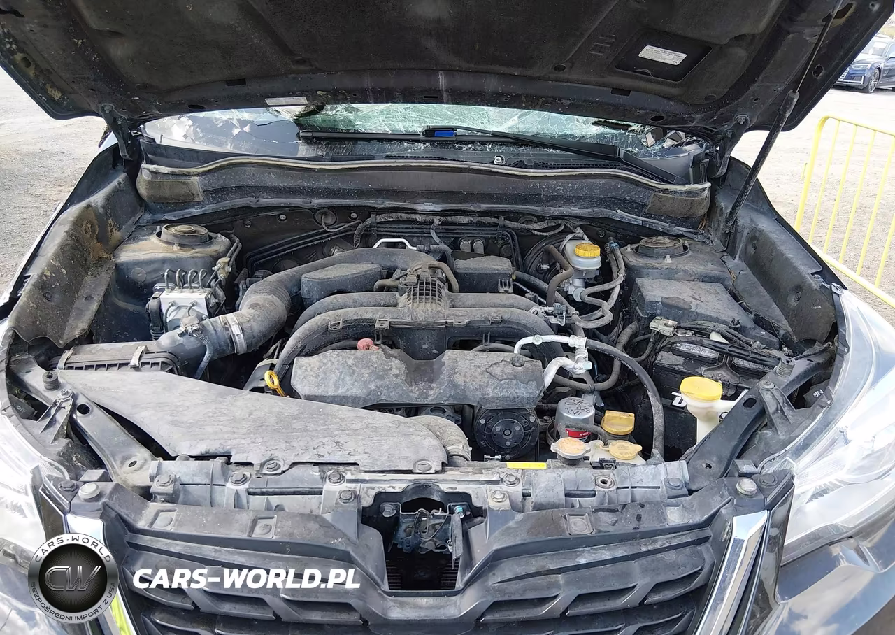 2017 Subaru Forester VIN:JFSJAET0HH512273 - 10