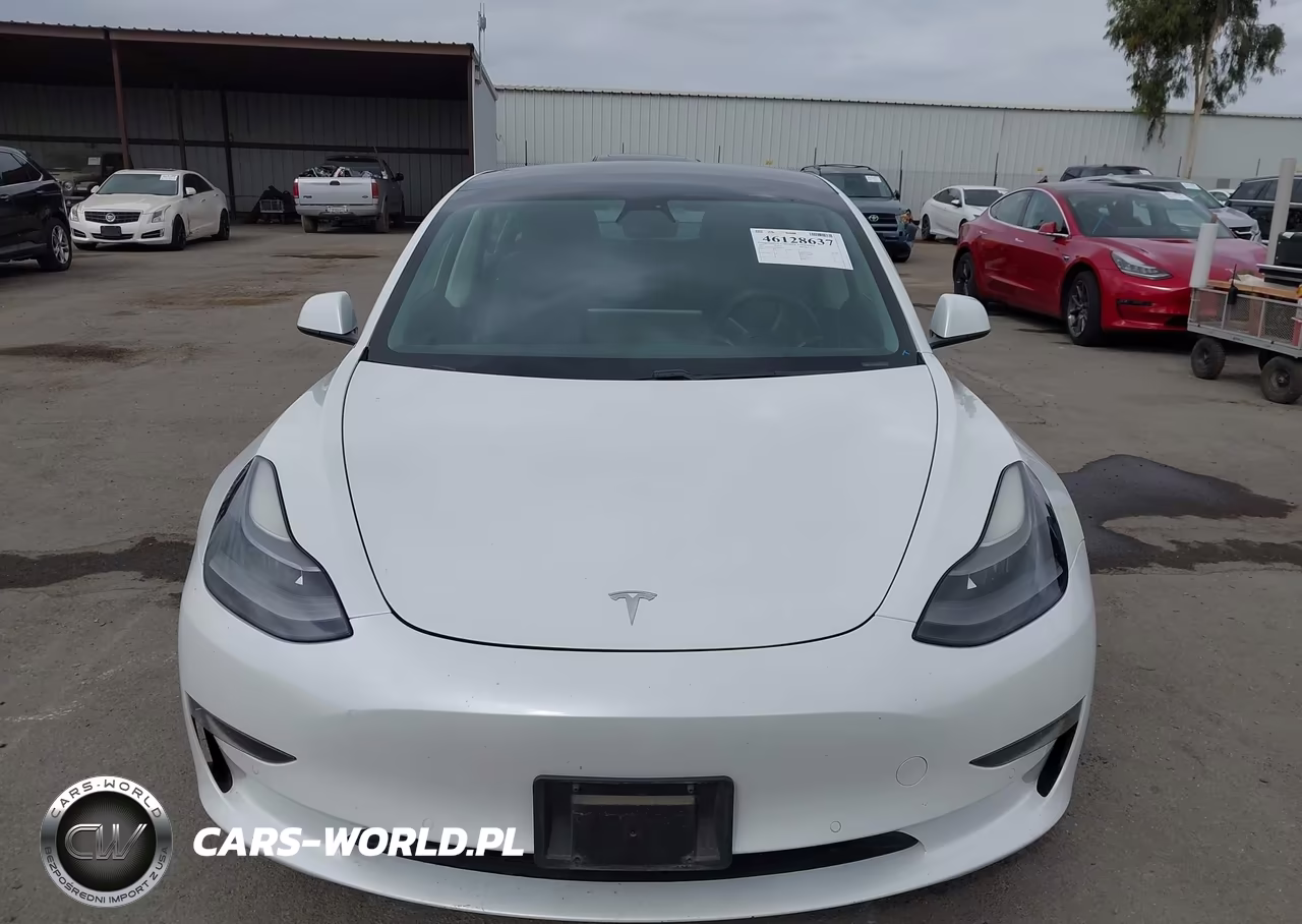 2021 Tesla Model 3 Standard Range Plus Rear-Wheel Drive VIN:5YJ3E1EA5MF074947 - 12