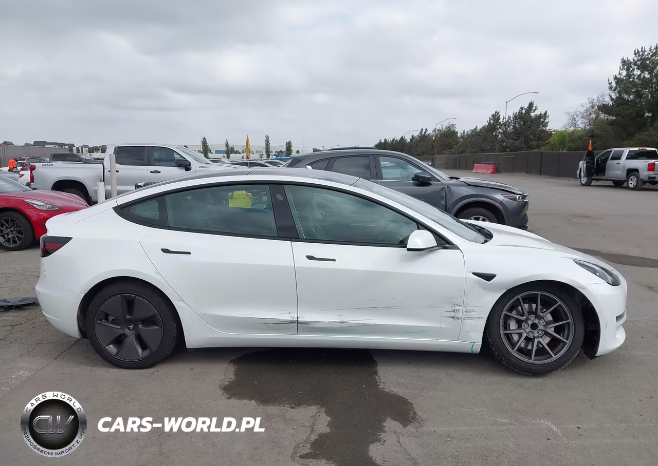 2021 Tesla Model 3 Standard Range Plus Rear-Wheel Drive VIN:5YJ3E1EA5MF074947 - 13