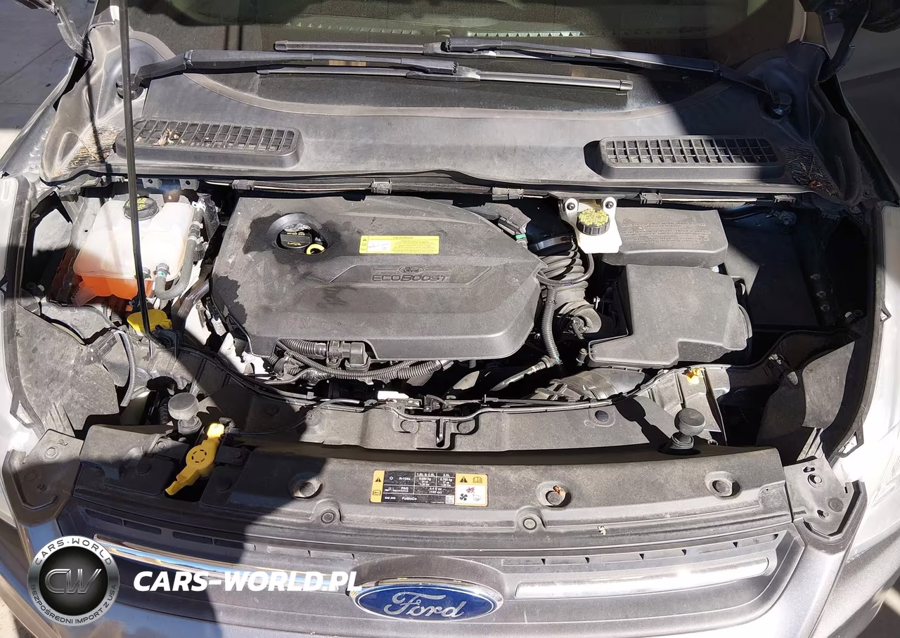 2014 Ford Escape Se VIN:1FMCU9GX7EUC07117 - 10
