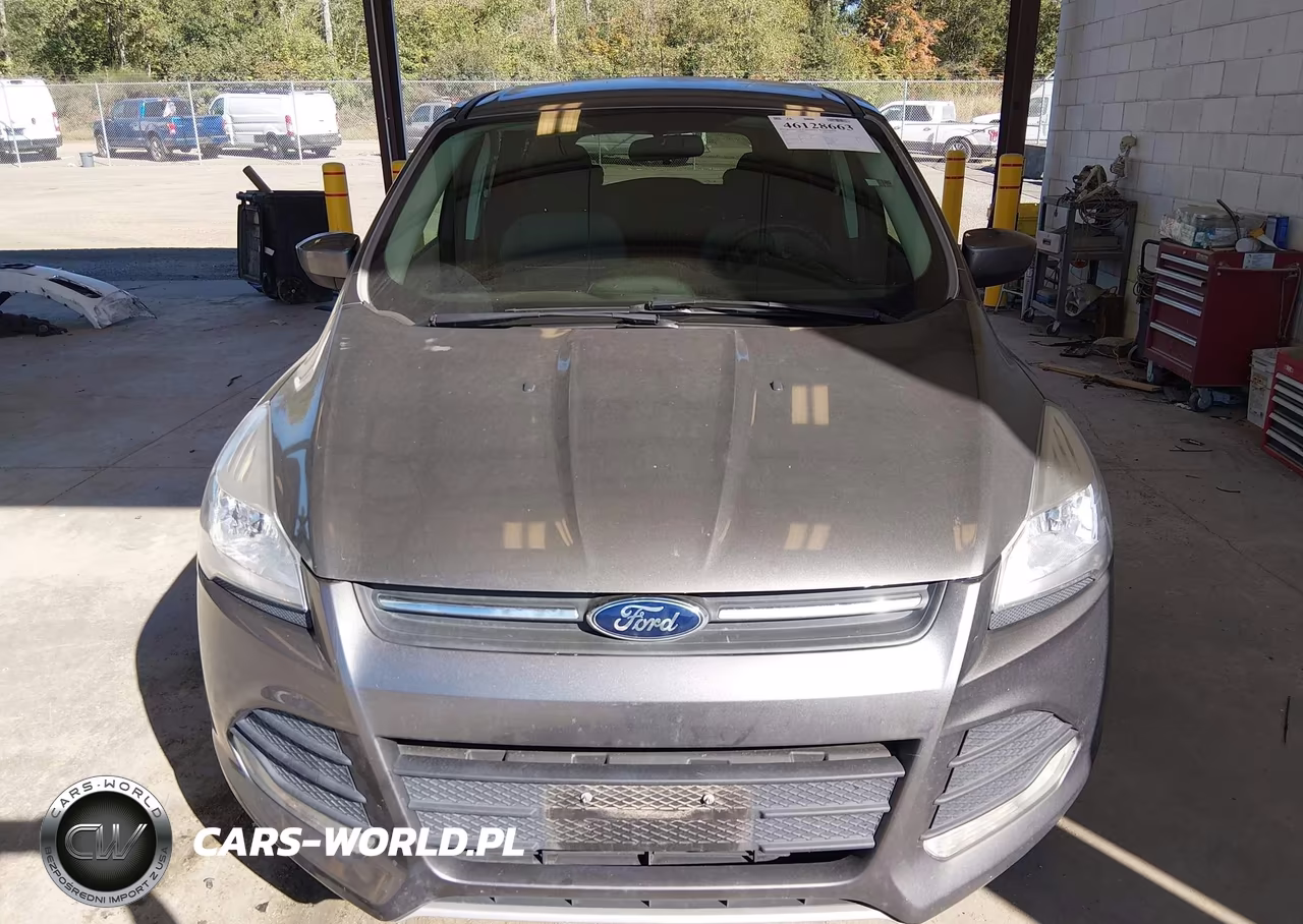 2014 Ford Escape Se VIN:1FMCU9GX7EUC07117 - 13