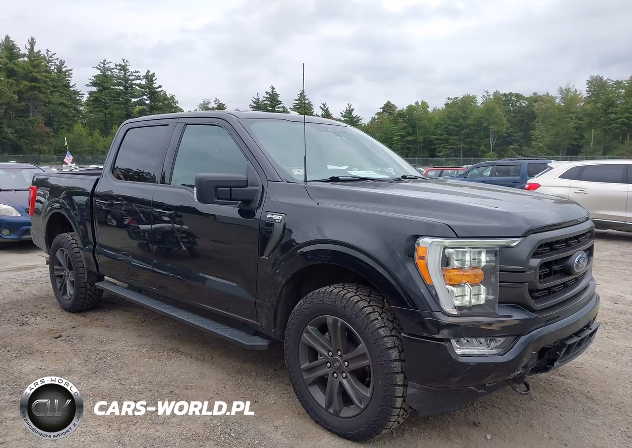 2023 Ford F-150 Xlt