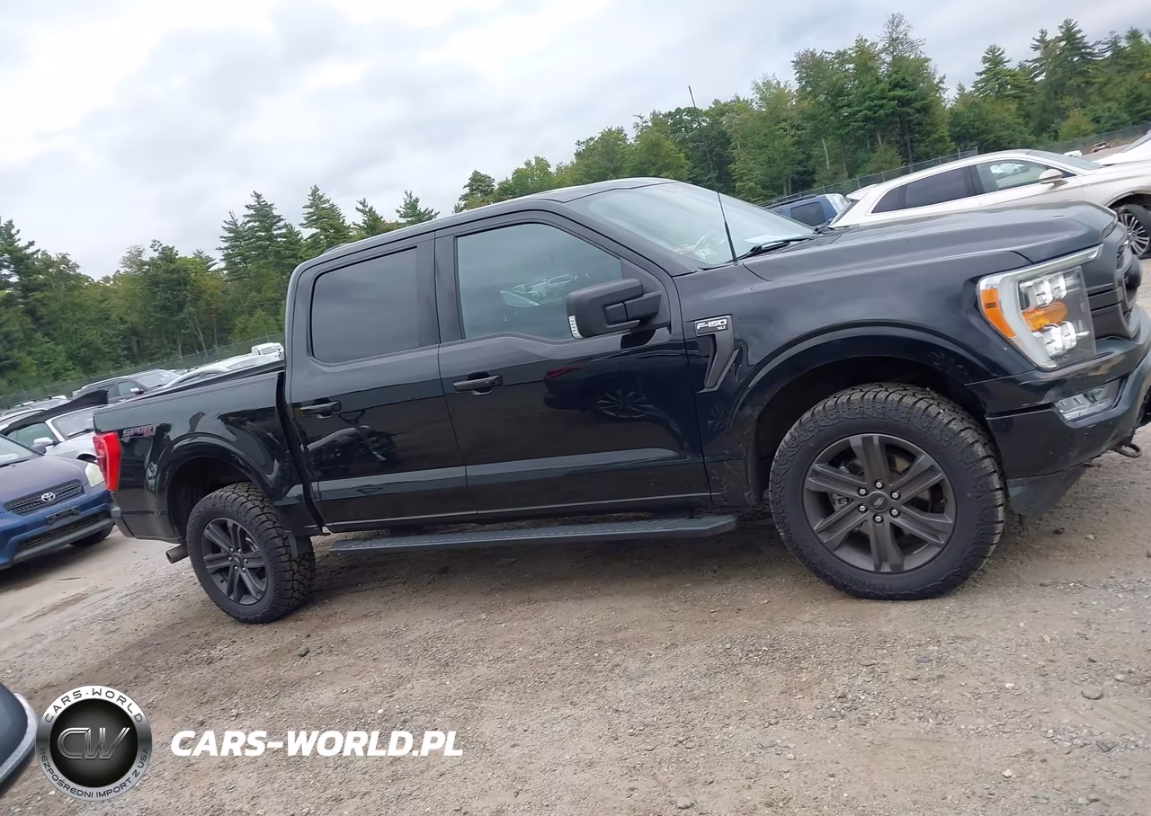 2023 Ford F-150 Xlt VIN:1FTFW1E87PFA37633 - 14