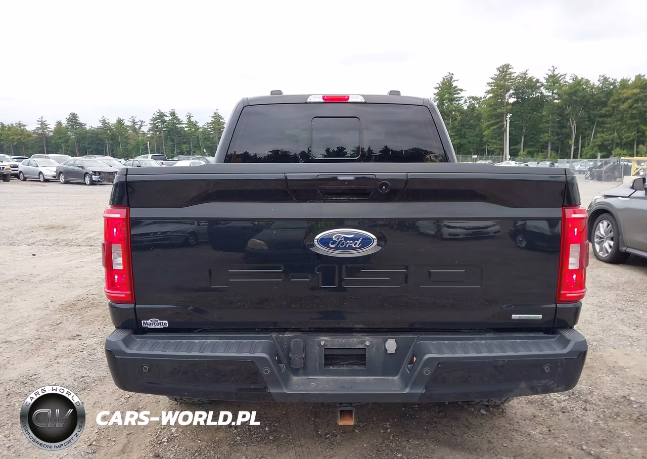 2023 Ford F-150 Xlt VIN:1FTFW1E87PFA37633 - 17