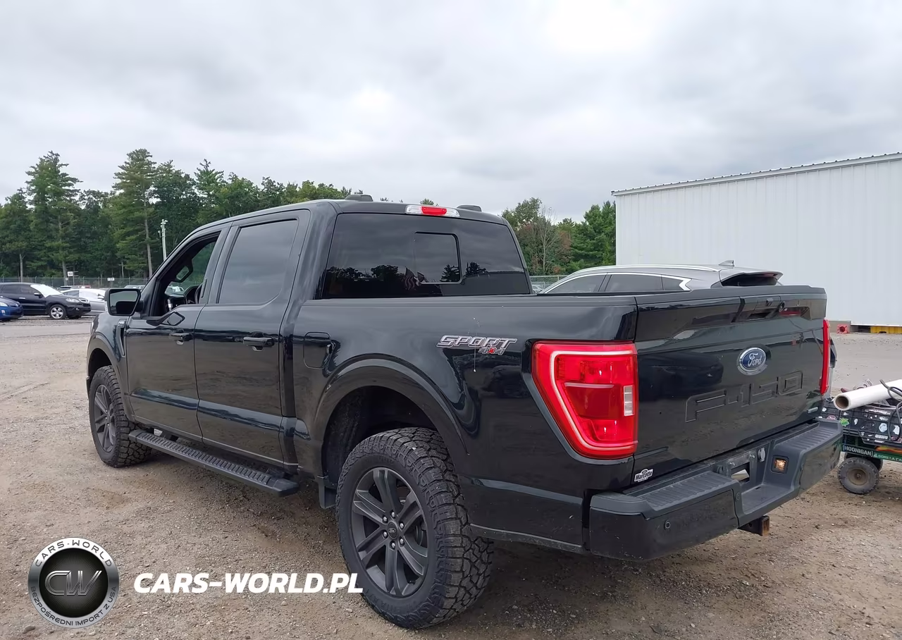 2023 Ford F-150 Xlt VIN:1FTFW1E87PFA37633 - 3