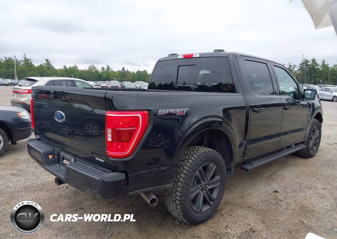 2023 Ford F-150 Xlt VIN:1FTFW1E87PFA37633 - 4