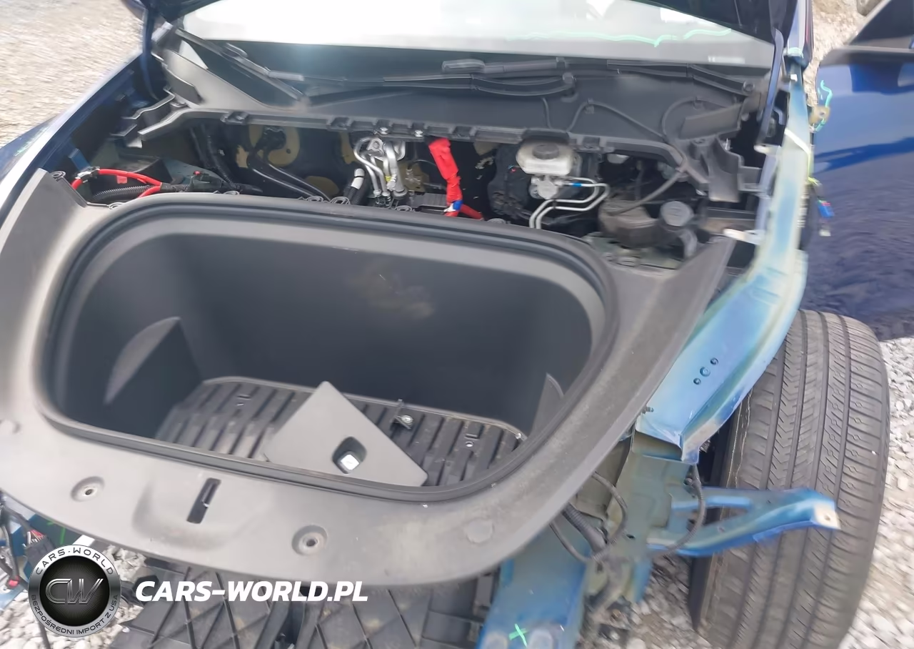 2024 Tesla Model Y Performance Dual Motor All-Wheel Drive VIN:7SAYGDEF6RA268620 - 10