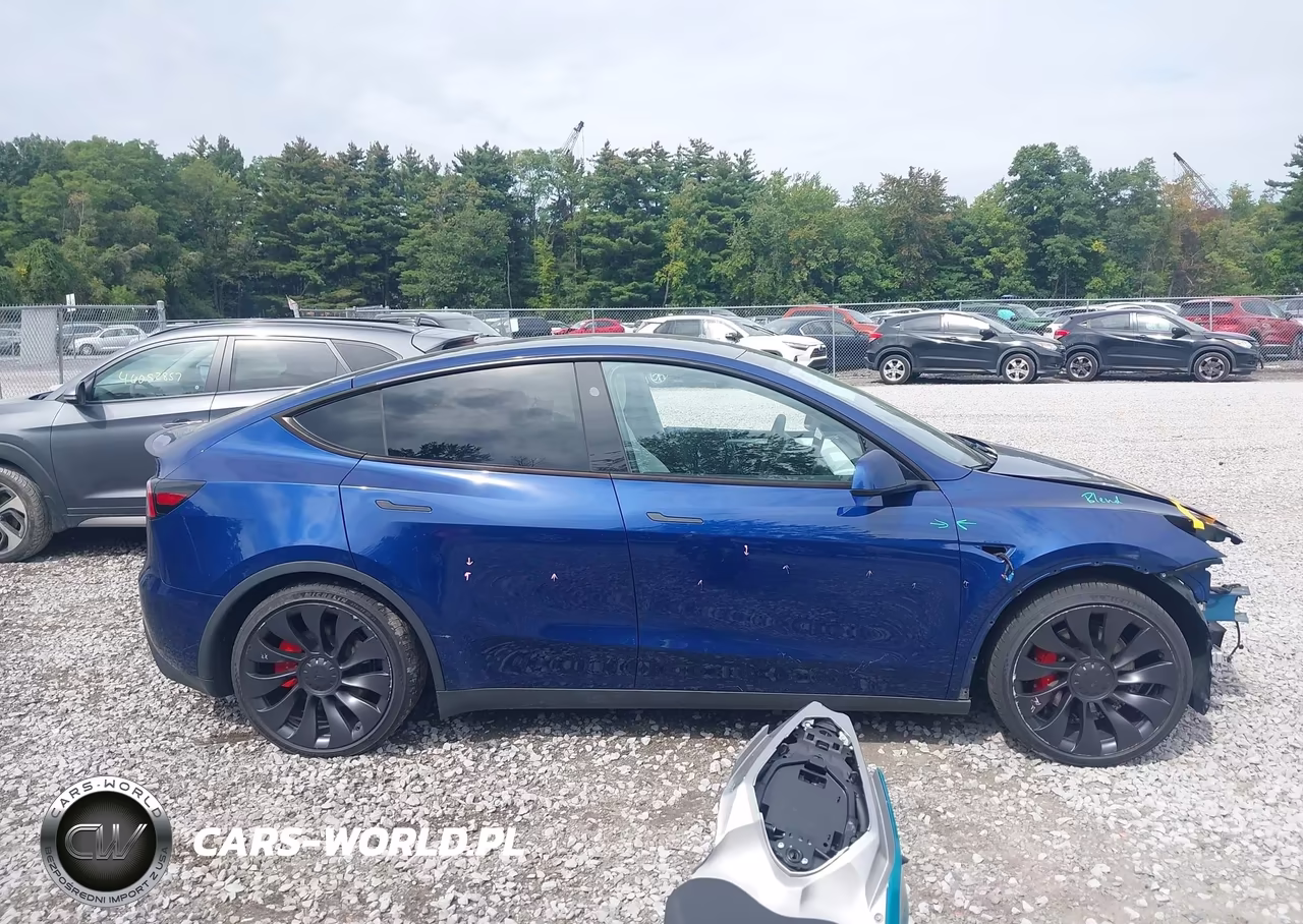 2024 Tesla Model Y Performance Dual Motor All-Wheel Drive VIN:7SAYGDEF6RA268620 - 13