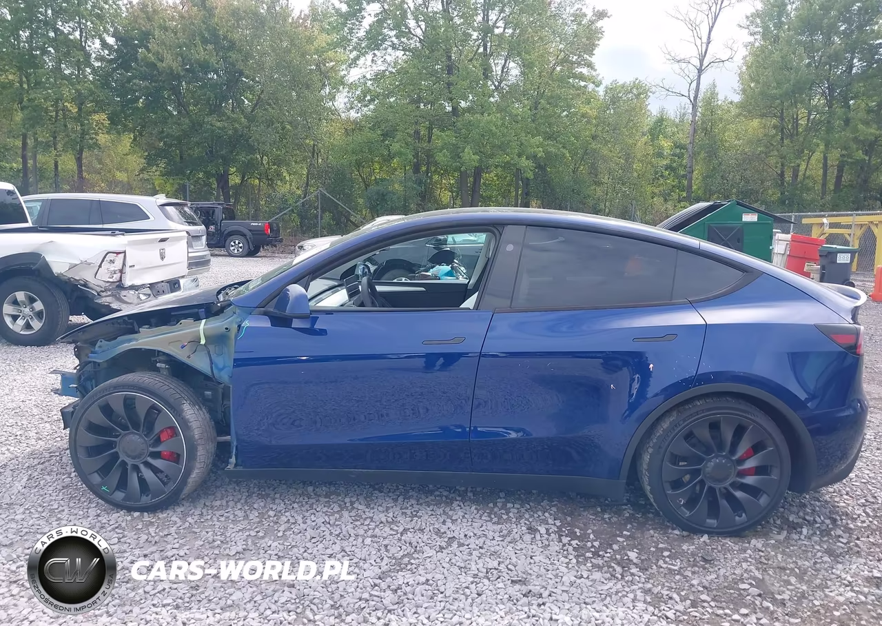2024 Tesla Model Y Performance Dual Motor All-Wheel Drive VIN:7SAYGDEF6RA268620 - 14