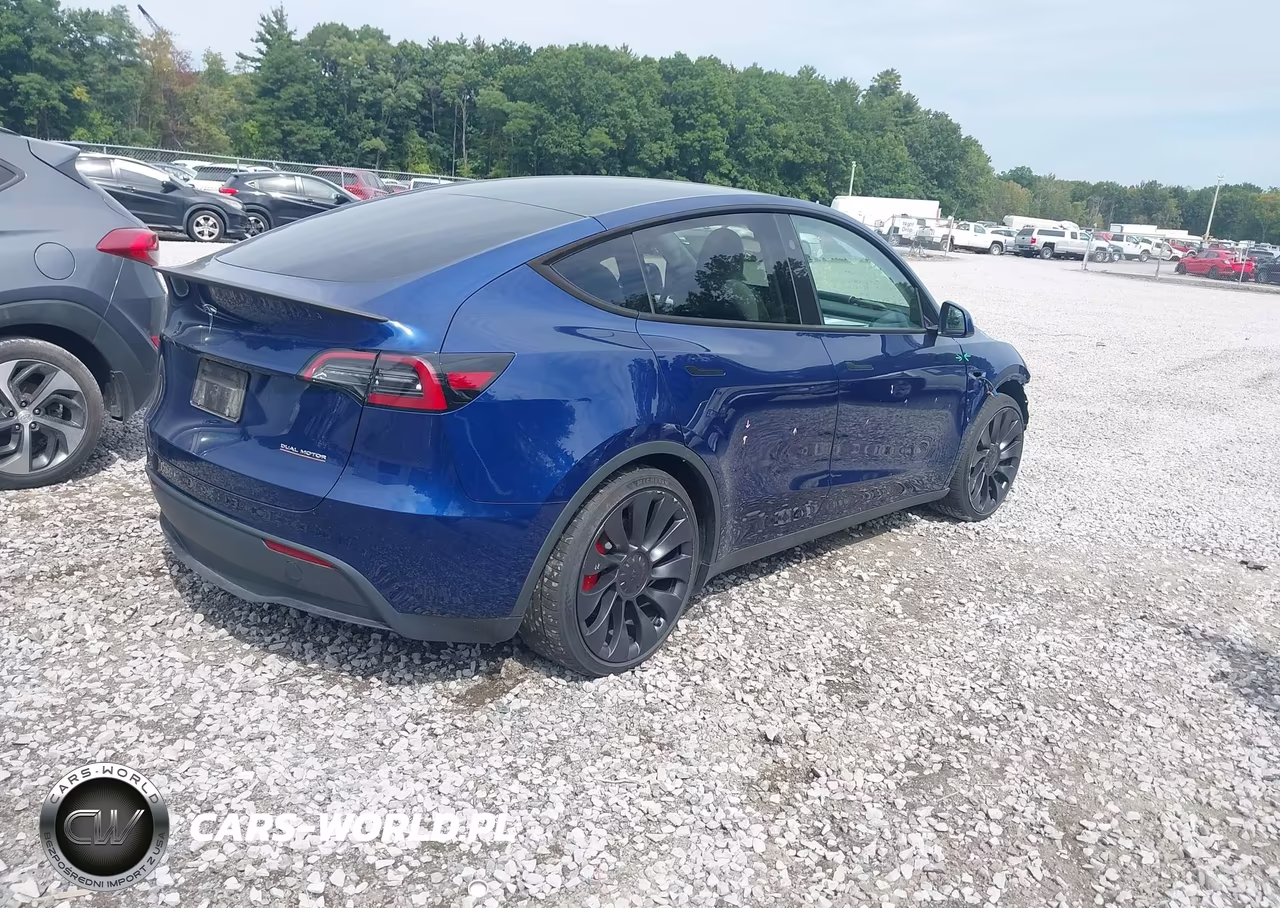 2024 Tesla Model Y Performance Dual Motor All-Wheel Drive VIN:7SAYGDEF6RA268620 - 4