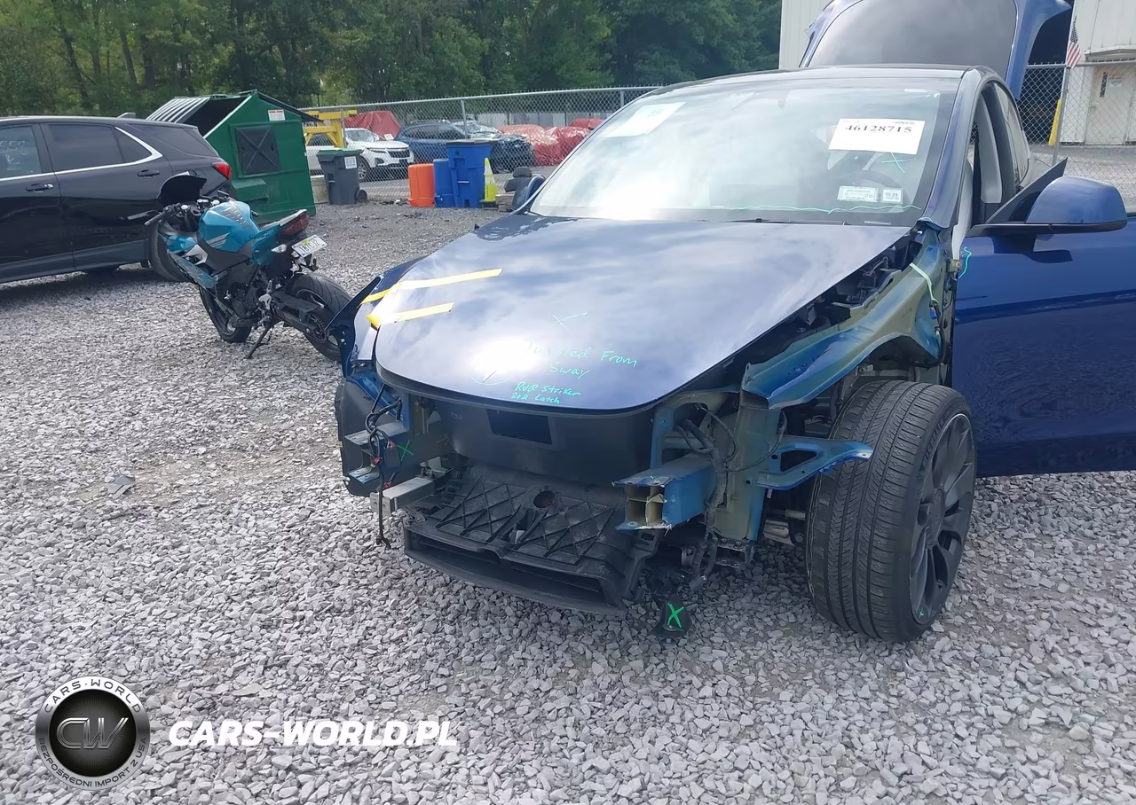 2024 Tesla Model Y Performance Dual Motor All-Wheel Drive VIN:7SAYGDEF6RA268620 - 6